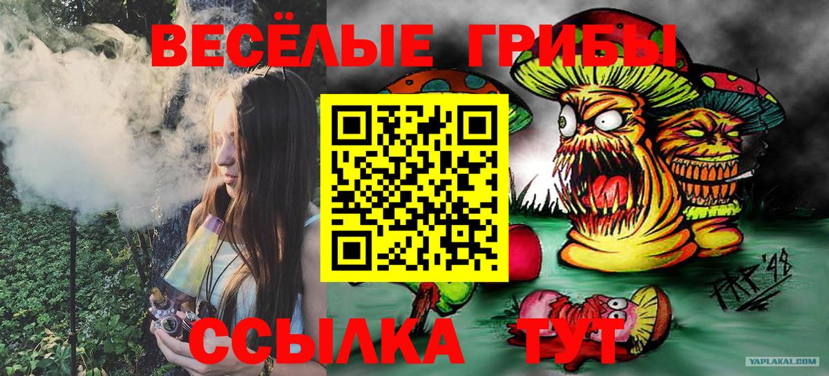 Вятские Поляны  Галлюциногенные грибы Cubensis  Псилоцибиновые грибы мицелий  Вход с VPN 